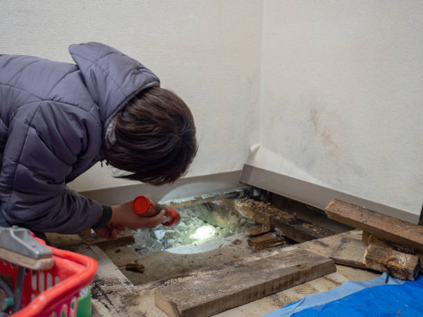 Best Real Estate Mold Inspection  in Choteau, MT
