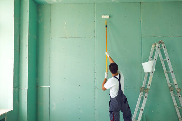 Best Black Mold Removal  in Choteau, MT