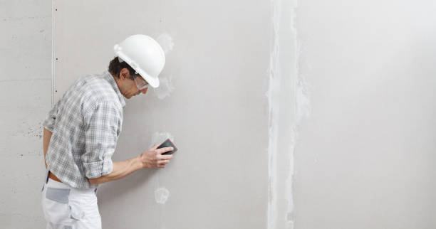 Best Residential Mold Inspection & Testing  in Choteau, MT
