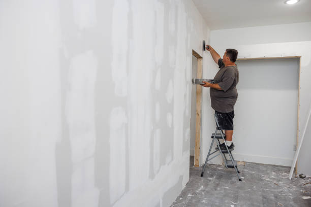 Best Basement Mold Removal  in Choteau, MT