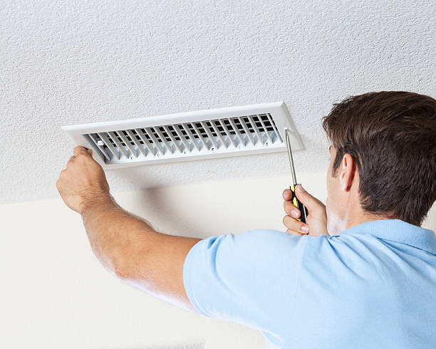 Best Attic Mold Removal  in Choteau, MT