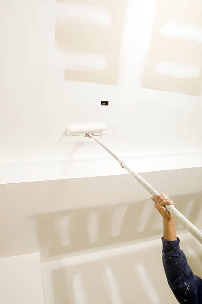 Best Biohazard Mold Removal  in Choteau, MT